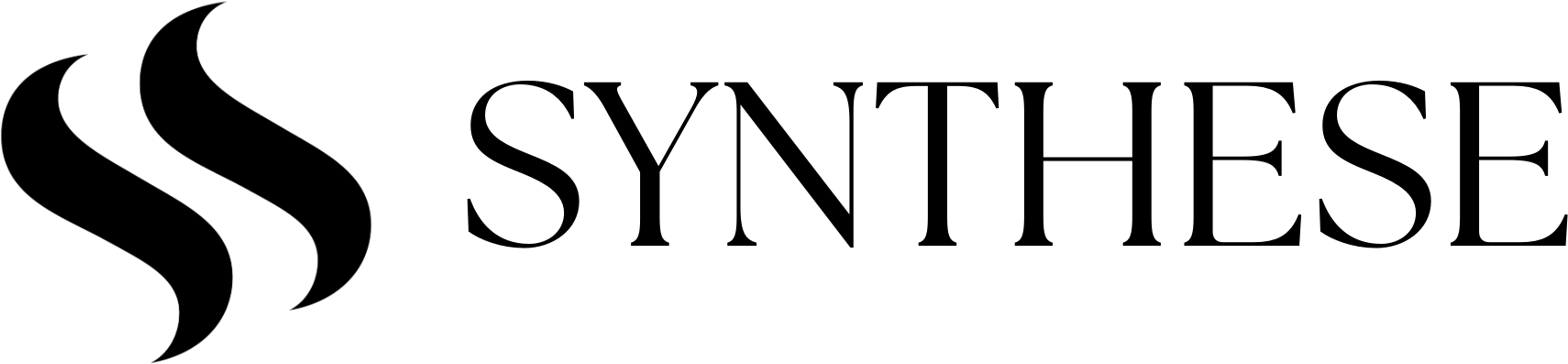 SYNTHESE